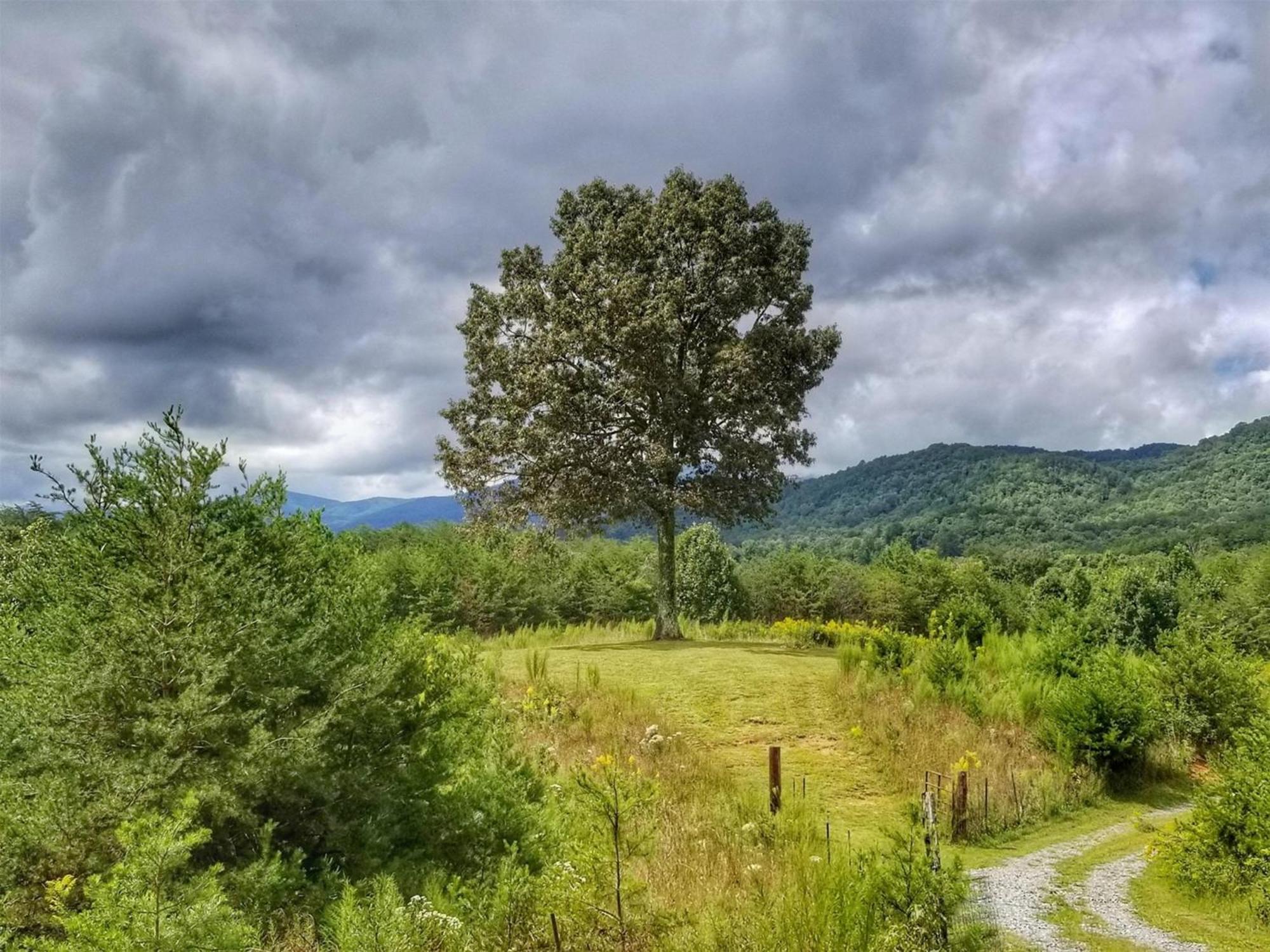 Eula Mae- Ocoee River Area Copperhill Eksteriør bilde